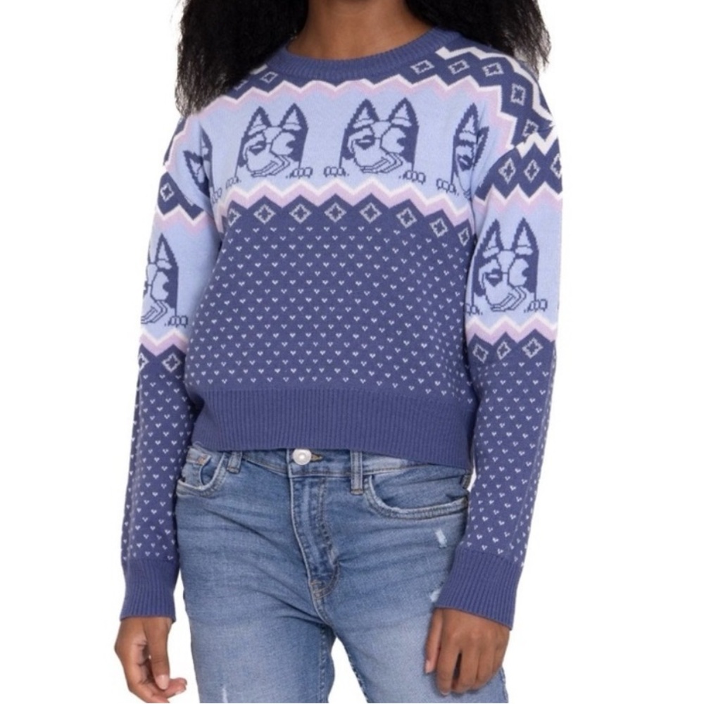 Bluey Kids Sweater Pullover Knit Fair‎ Isle Jumper XS 4/5 Blue